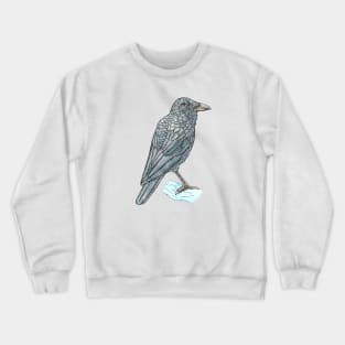 Little Raven Crewneck Sweatshirt